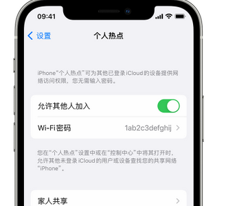 靖远apple服务站点分享iPhone上个人热点丢失了怎么办