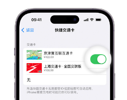 靖远apple维修点分享iPhone上更换Apple Pay快捷交通卡手绘卡面 