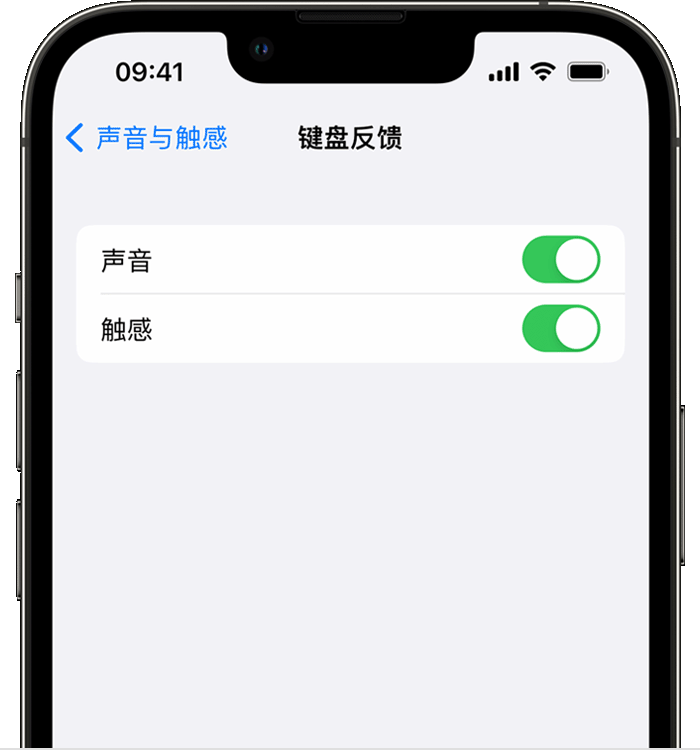 靖远苹果14维修店分享如何在 iPhone 14 机型中使用触感键盘 