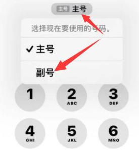 靖远苹果14维修店分享iPhone 14 Pro Max使用副卡打电话的方法 