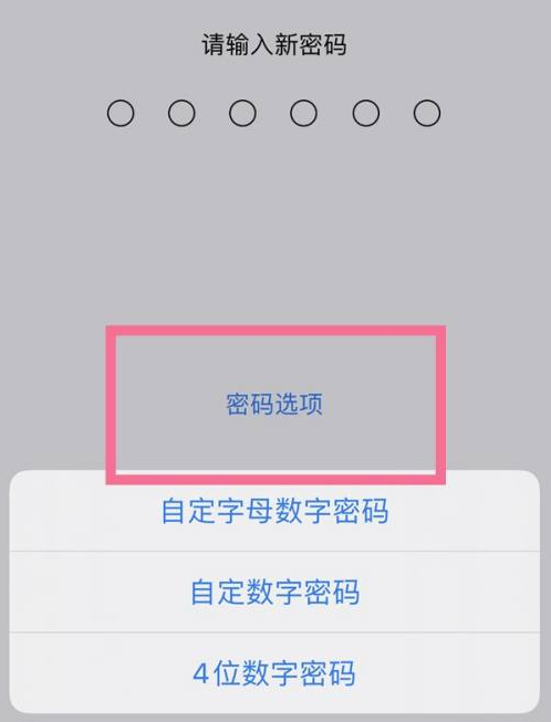 靖远苹果14维修分享iPhone 14plus设置密码的方法 