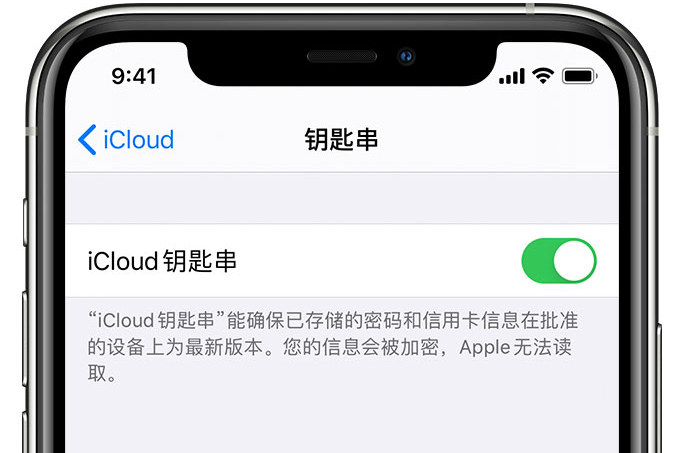 靖远苹果手机维修分享在 iPhone 上开启 iCloud 钥匙串之后会储存哪些信息 