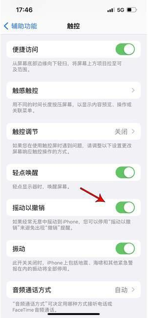 靖远苹果手机维修分享iPhone手机如何设置摇一摇删除文字 