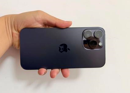 靖远苹果维修点分享iPhone 14 Pro Max黑屏少见故障盘点 